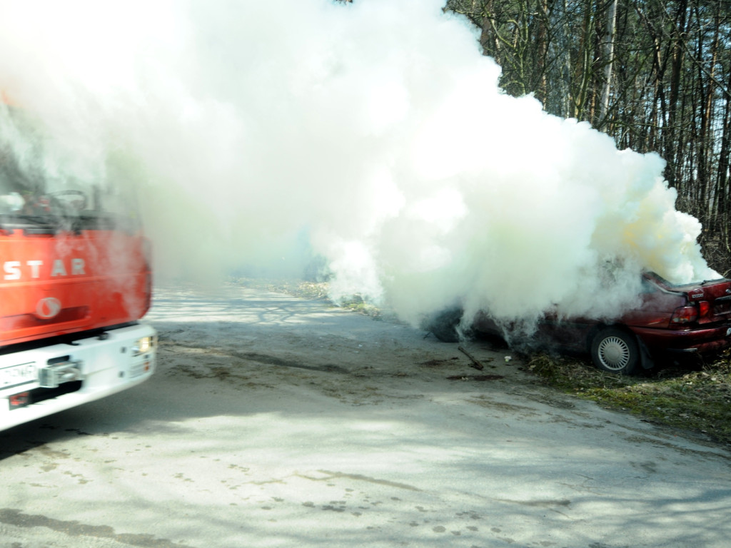 Manewry strażackie na Szyjkach w Gromcu - 24.03.2018 r.