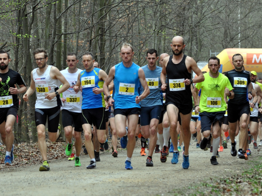 Puszcza Run 2018 - 15.04.2018 r.