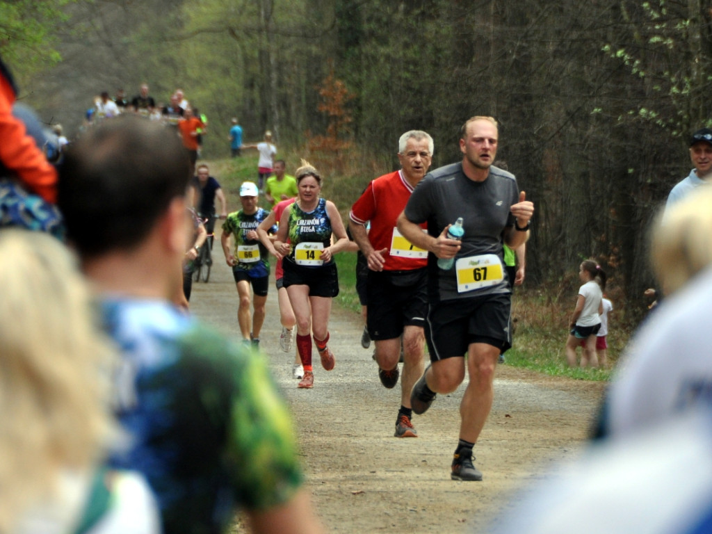 Puszcza Run 2018 - 15.04.2018 r.