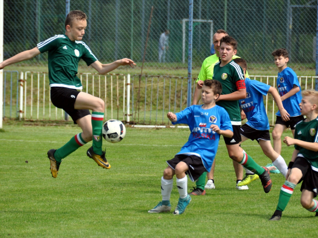 Turniej o Puchar Hrabiny Zofii w Krzeszowicach - 19.05.2018 r.