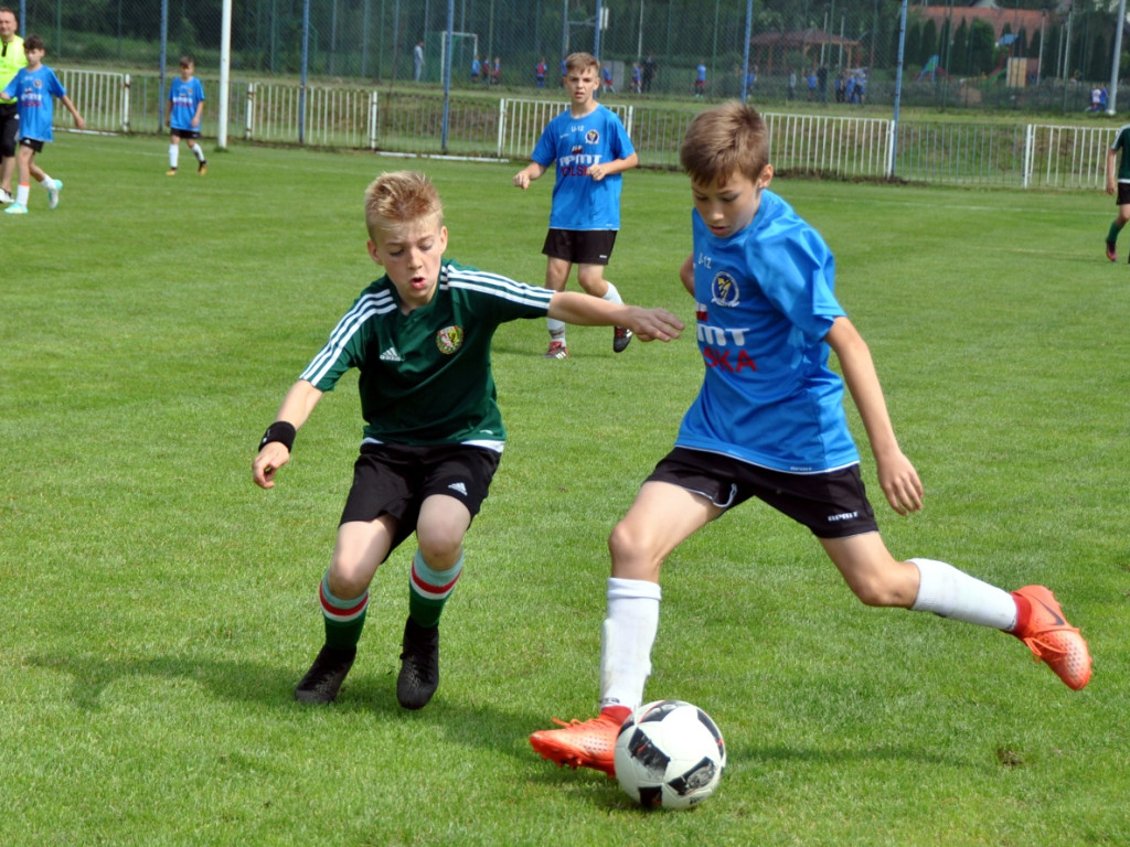Turniej o Puchar Hrabiny Zofii w Krzeszowicach - 19.05.2018 r.