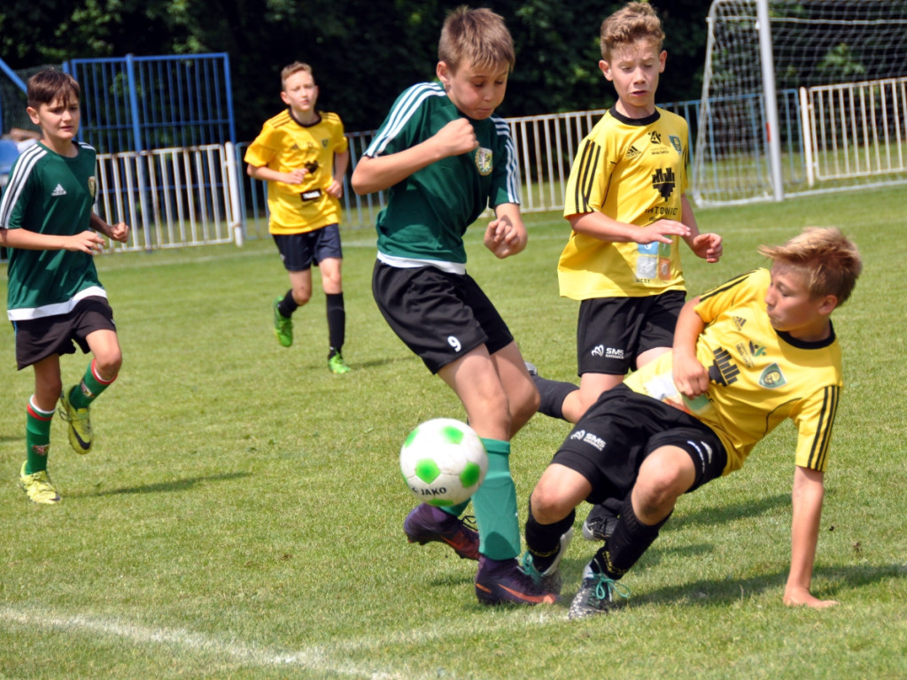 Turniej o Puchar Hrabiny Zofii w Krzeszowicach - 19.05.2018 r.