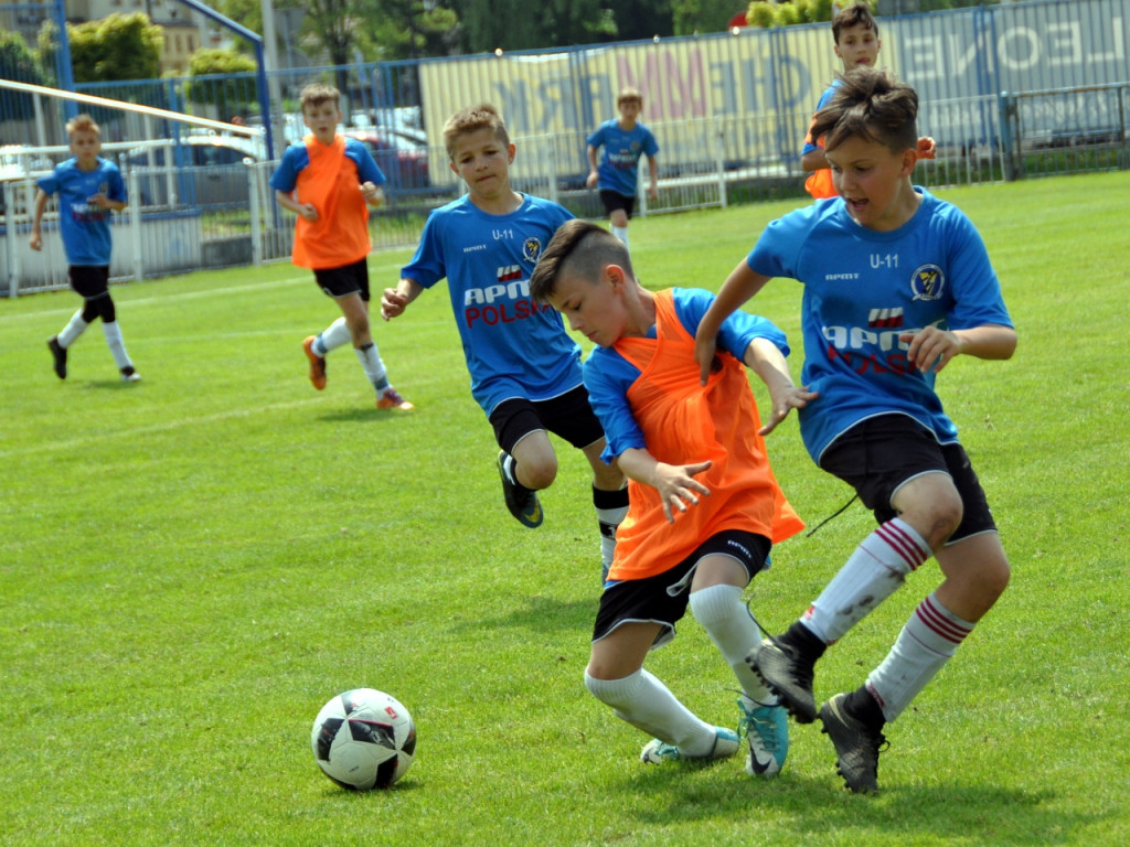 Turniej o Puchar Hrabiny Zofii w Krzeszowicach - 19.05.2018 r.