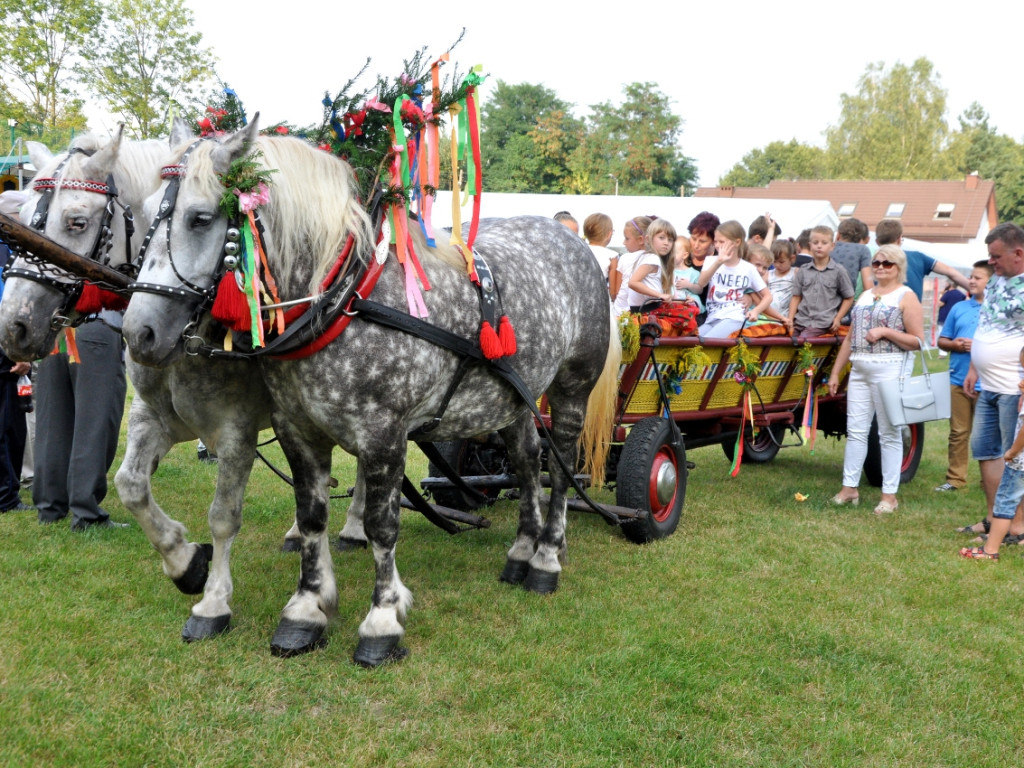 Dożynki gminy Krzeszowice w Nawojowej Górze 18.08.2018 r.