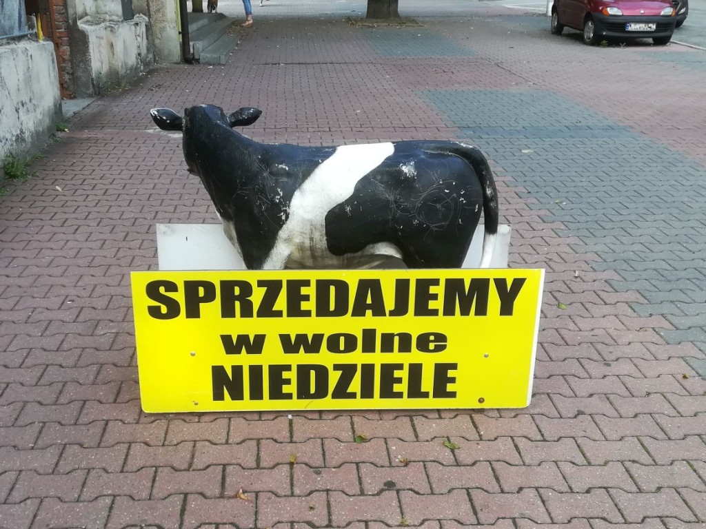 Te obrazki przykuwają uwagę