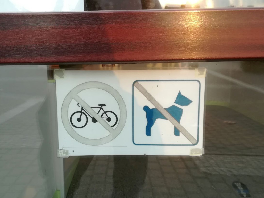 Te obrazki przykuwają uwagę