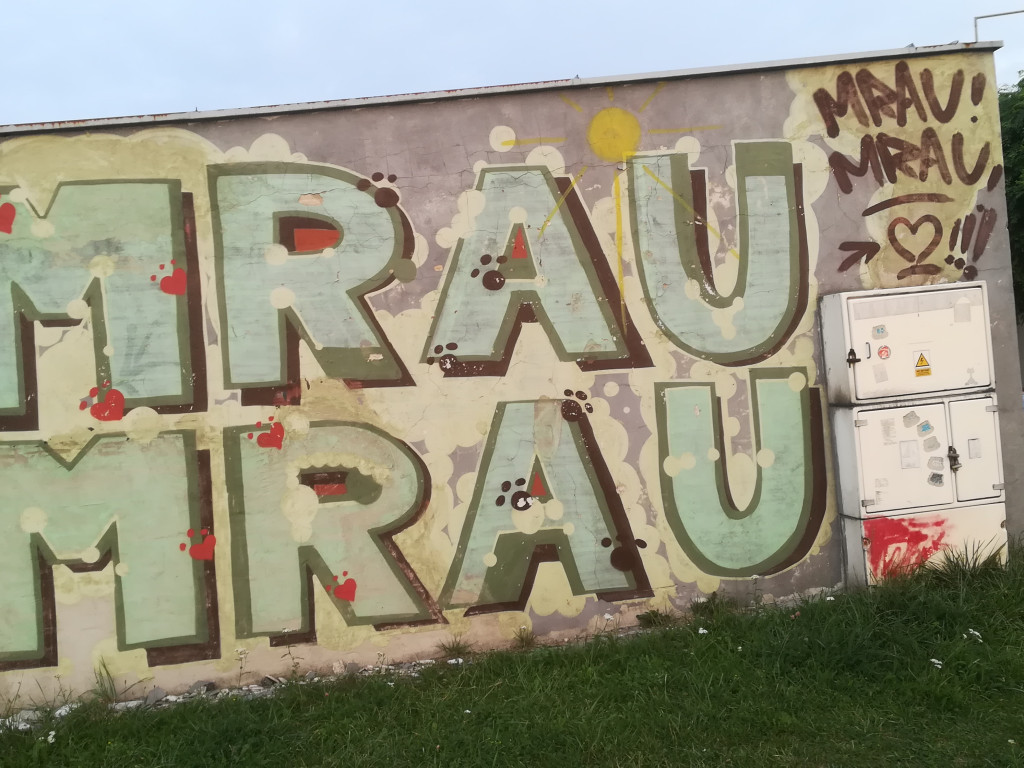 Te obrazki przykuwają uwagę