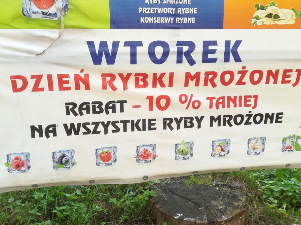 Te obrazki przykuwają uwagę