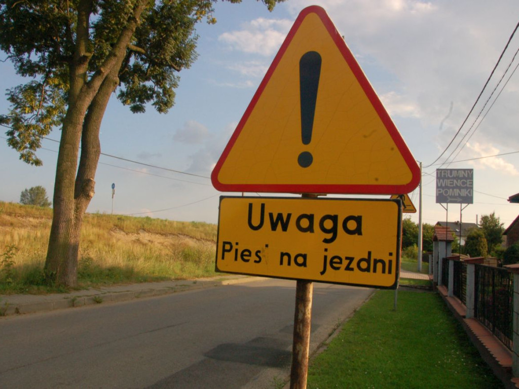 Te obrazki przykuwają uwagę