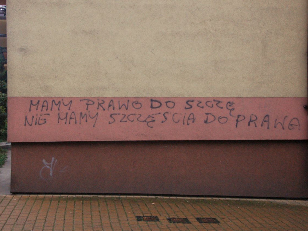 Te obrazki przykuwają uwagę
