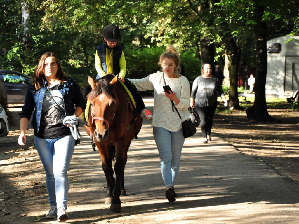 Charytatywny piknik dla Nikosia Kubicy w Bolęcinie ..
