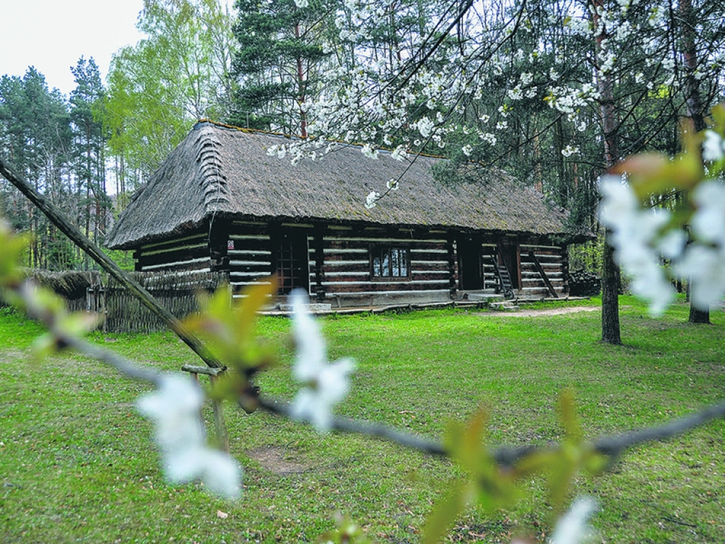 Pod Lipowcem stoi już pół wieku