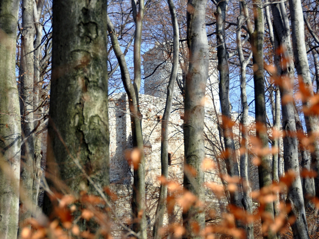 Jesienny spacer na zamek Lipowiec
