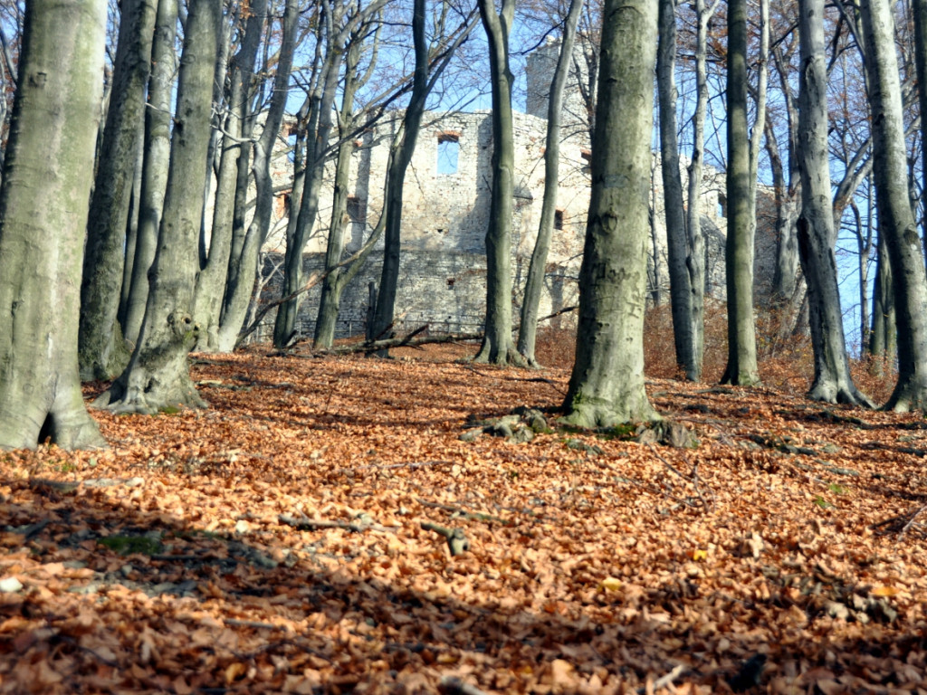 Jesienny spacer na zamek Lipowiec