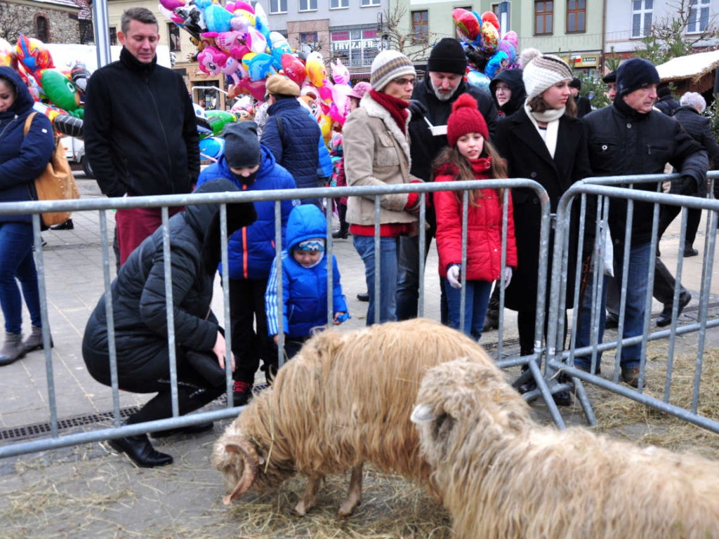 Spotkanie wigilijne na Rynku w Chrzanowie 15.12.2018r.
