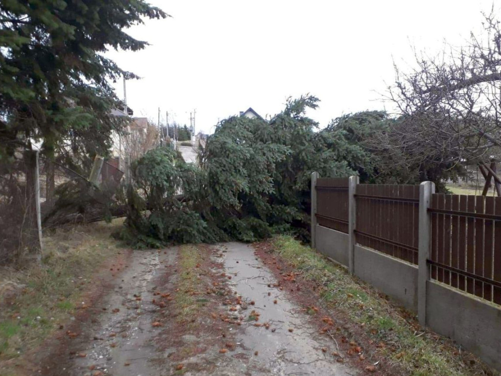 Usuwanie skutków wichury w powiecie chrzanowskim - 11.03.2019 r.