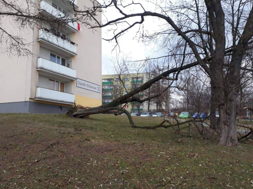 Usuwanie skutków wichury w powiecie chrzanowskim - 11.03.2019 r.
