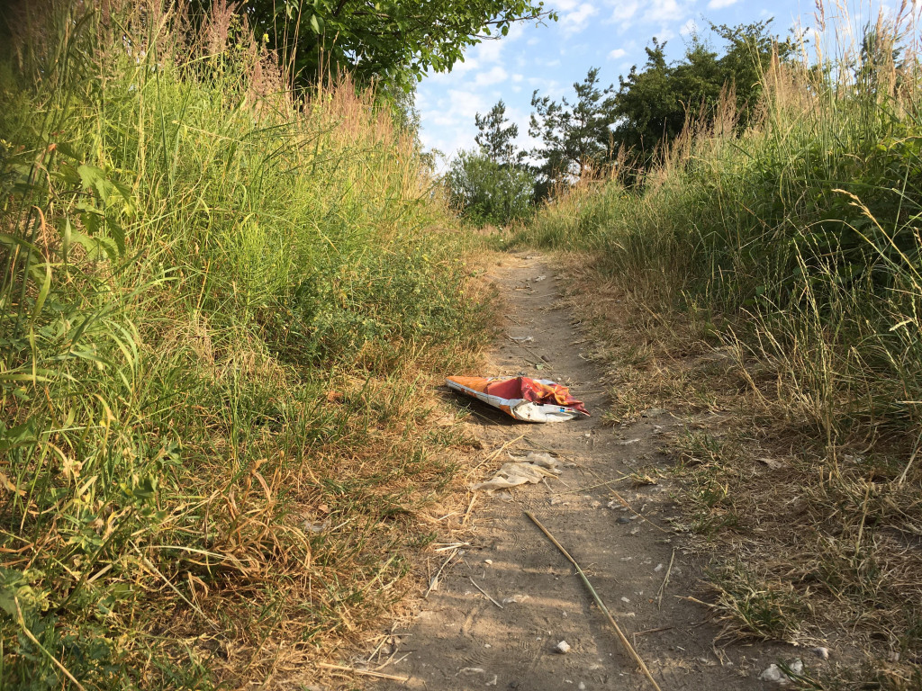 Zaśmiecona korona Balatonu - 7.07.2019 r.