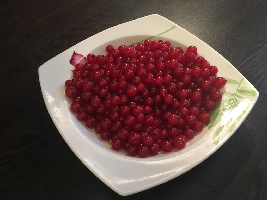 Ciasto owocowe z budyniem i galaretką