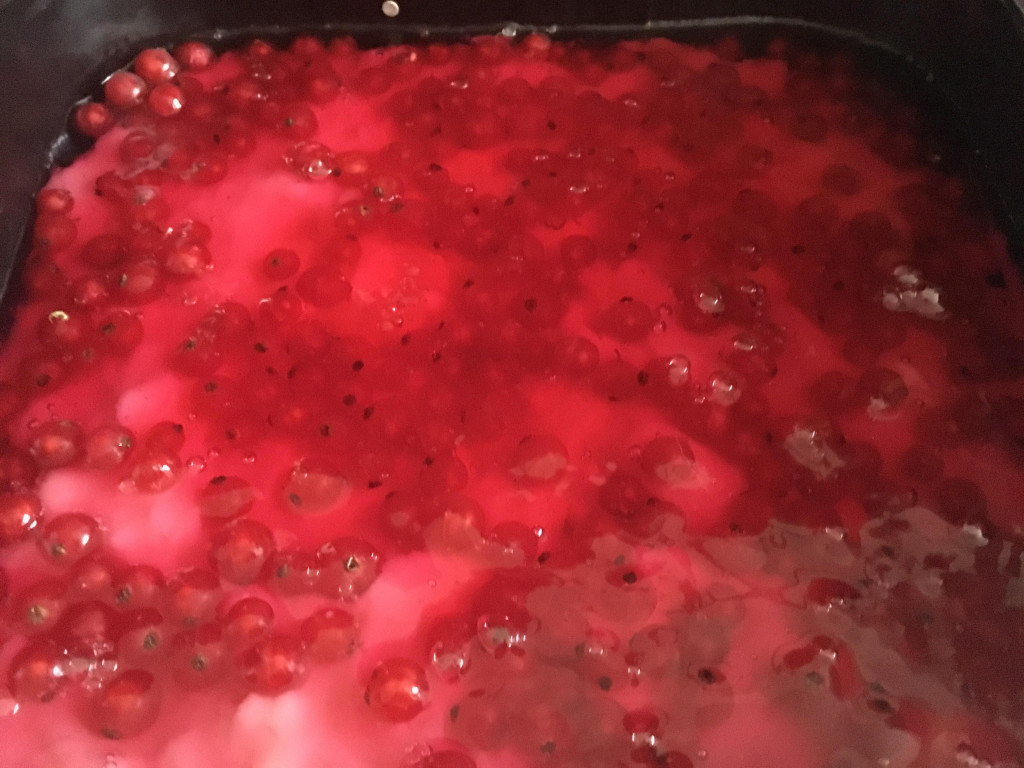 Ciasto owocowe z budyniem i galaretką