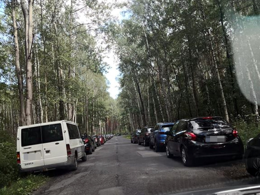Rejon zalewu Chechło - 11.08.2019 r.