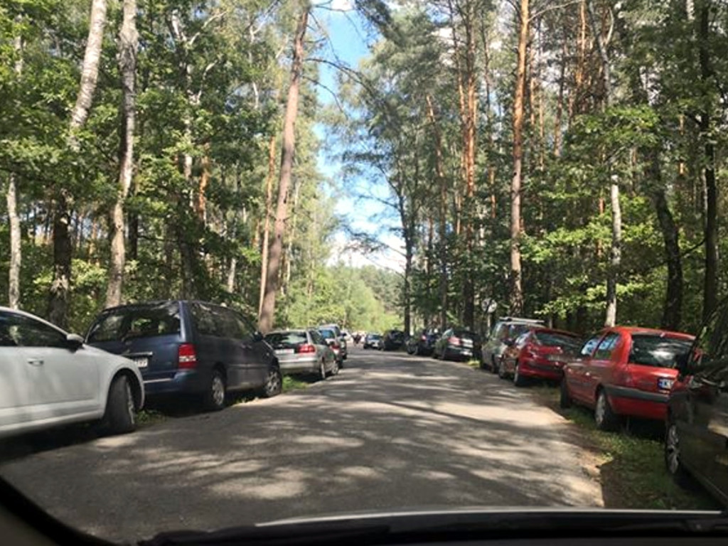 Rejon zalewu Chechło - 11.08.2019 r.