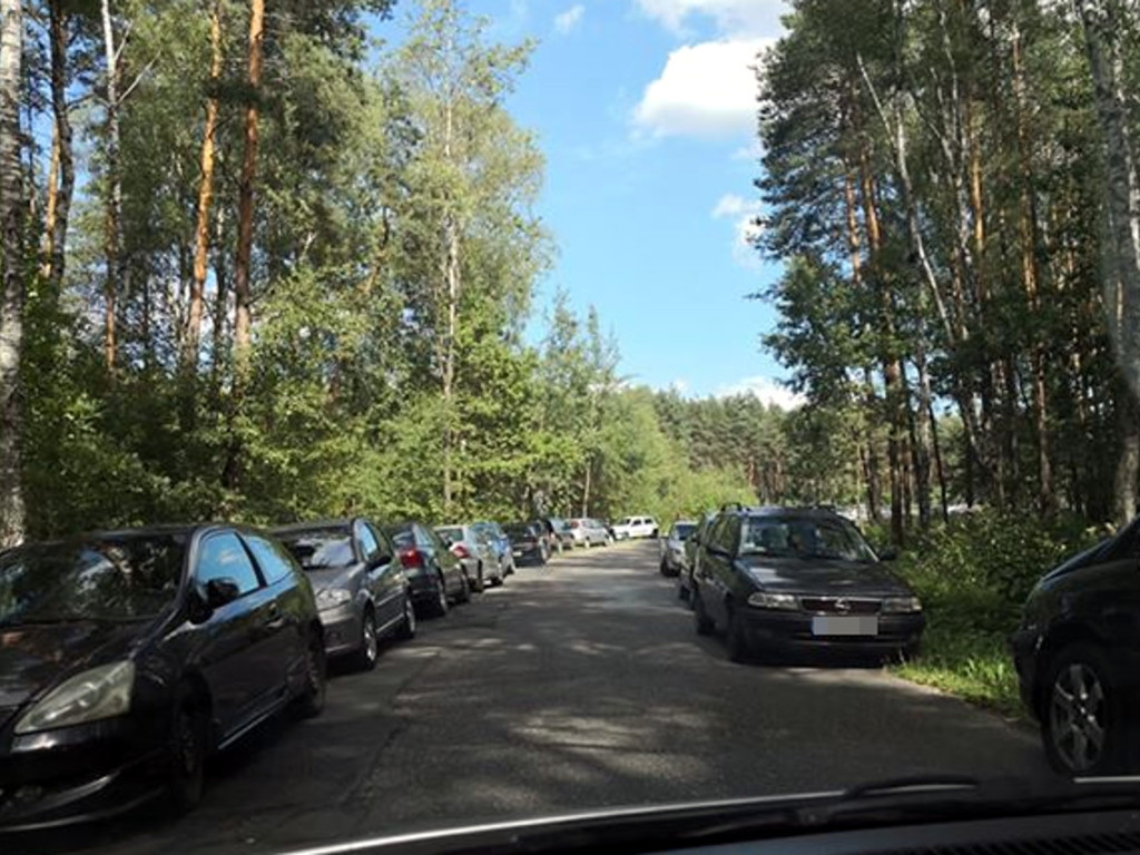 Rejon zalewu Chechło - 11.08.2019 r.