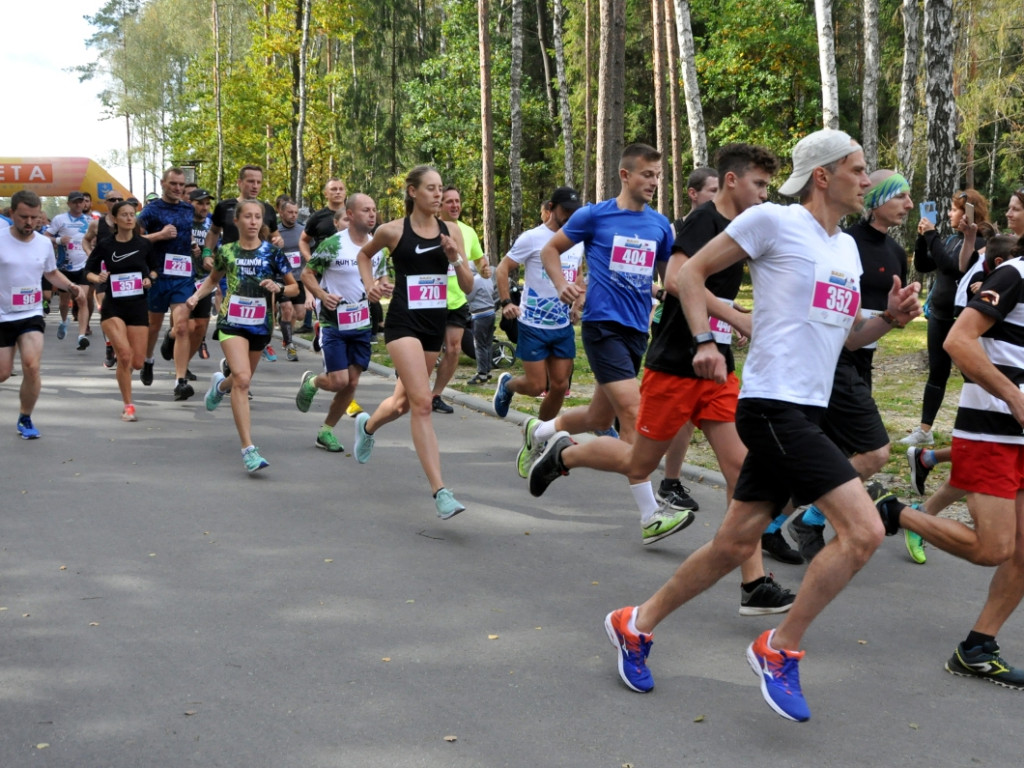 Chechło Run 2019