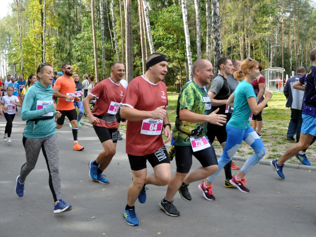 Chechło Run 2019