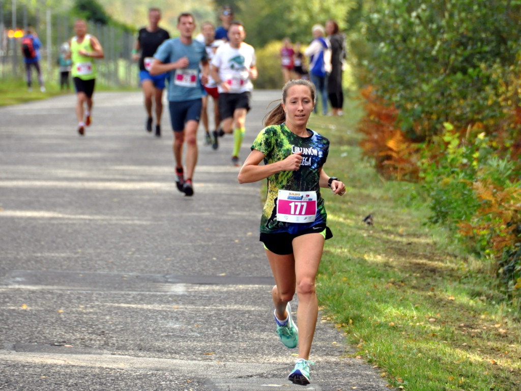 Chechło Run 2019