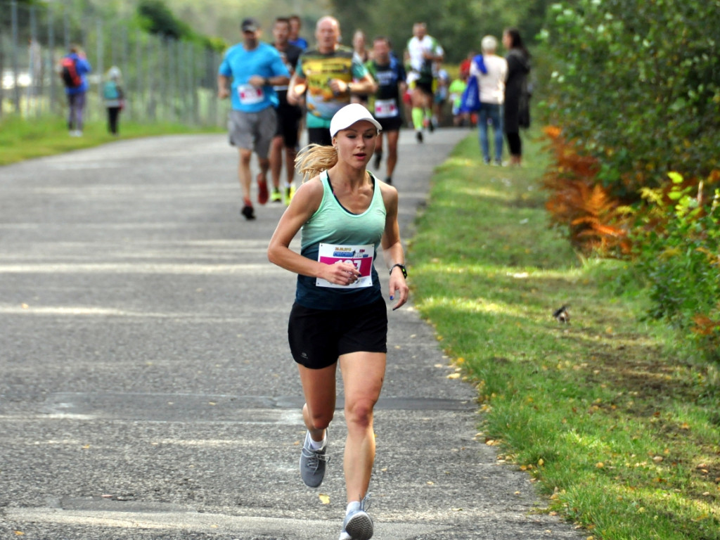 Chechło Run 2019