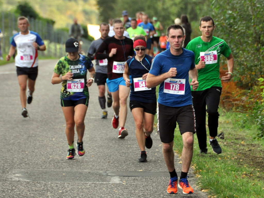 Chechło Run 2019