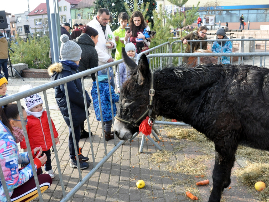 Wigilia na Rynku w Chrzanowie - 14.12.2019 r.