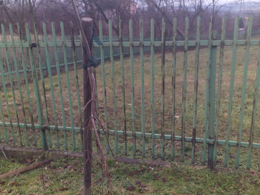 Dewastacja na os. Widokowym w Trzebini