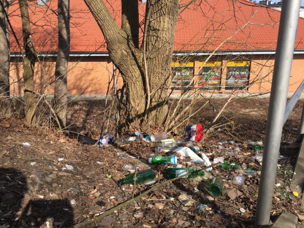 Zaśmiecona skarpa na Starej Hucie w Chrzanowie