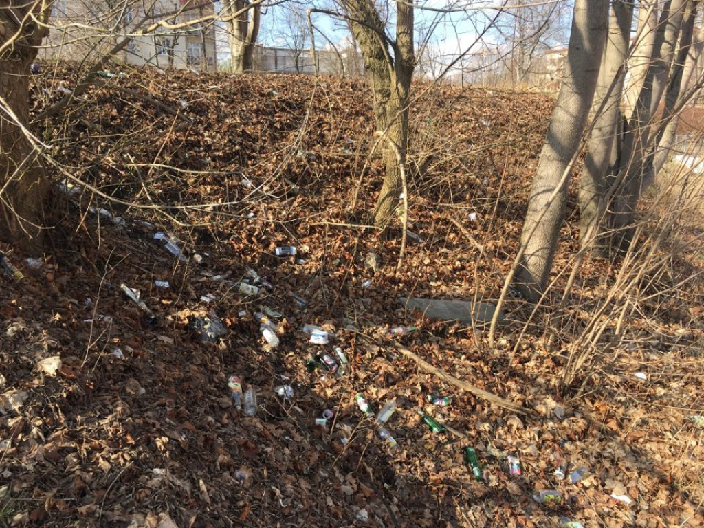 Zaśmiecona skarpa na Starej Hucie w Chrzanowie