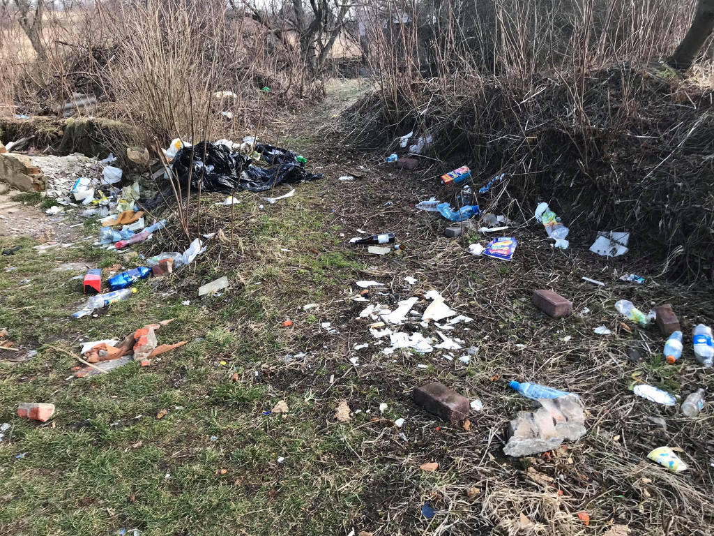 Społeczna akcja: dzieciaki posprzątały Balaton