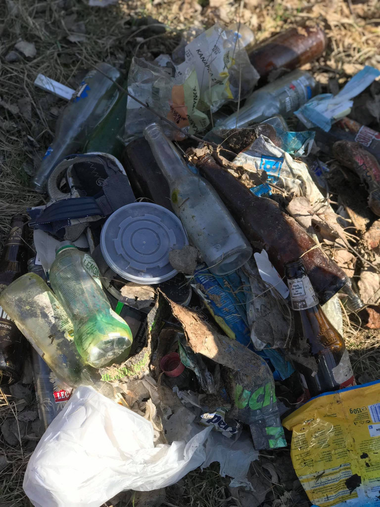 Społeczna akcja: dzieciaki posprzątały Balaton