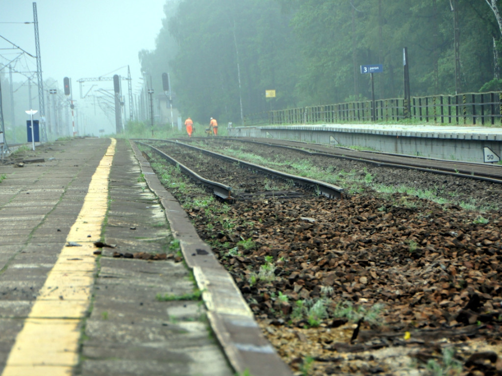 Przebudowa przystanku kolejowego w Dulowej