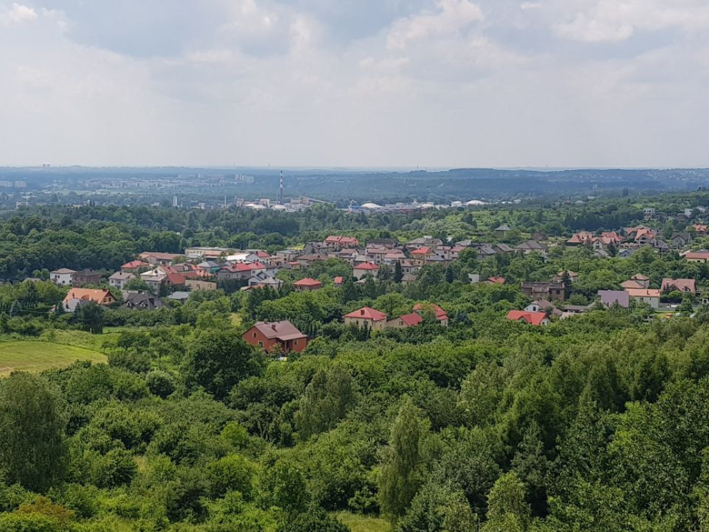 Góra Bożniowa w Trzebini