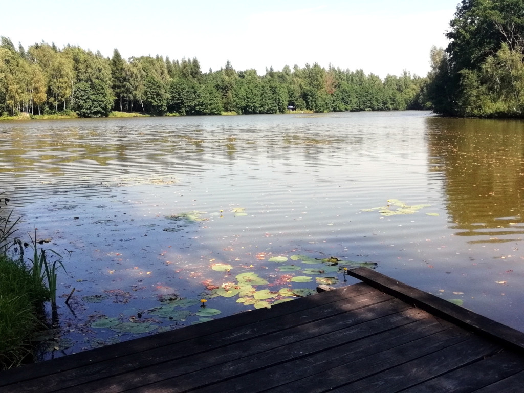 Wycieczka rowerowa Zator - Graboszyce