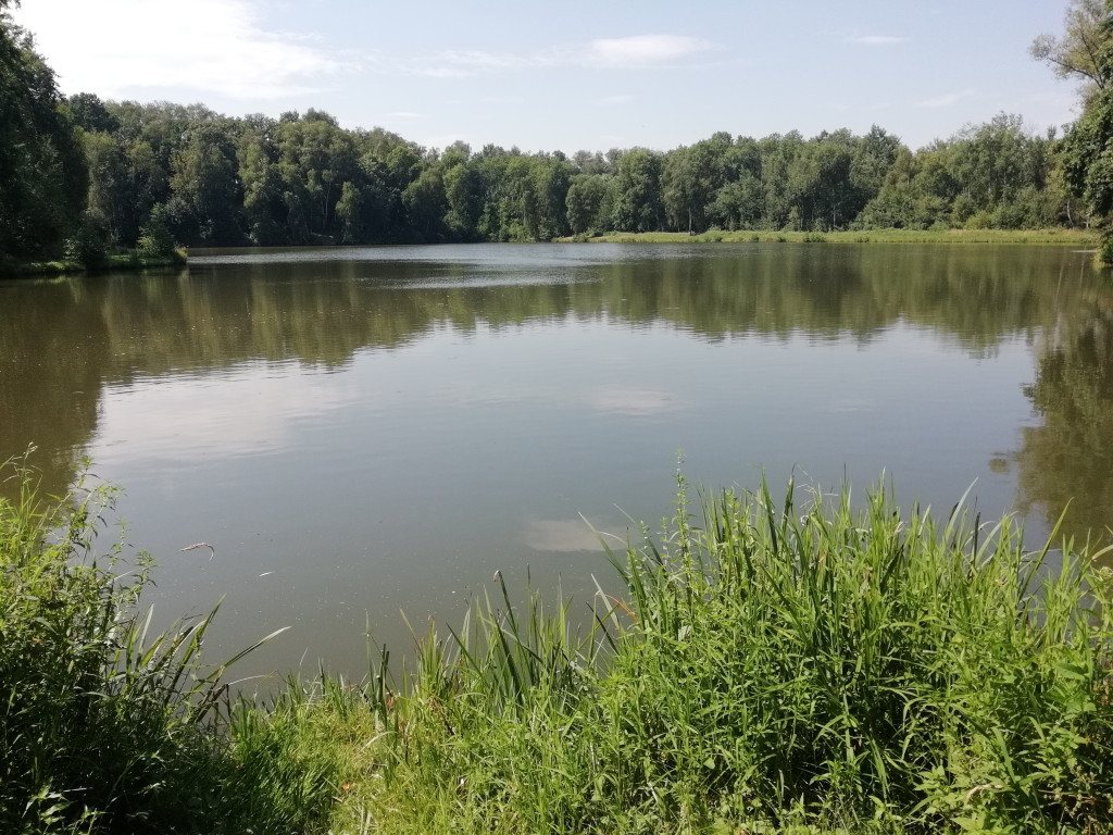 Wycieczka rowerowa Zator - Graboszyce