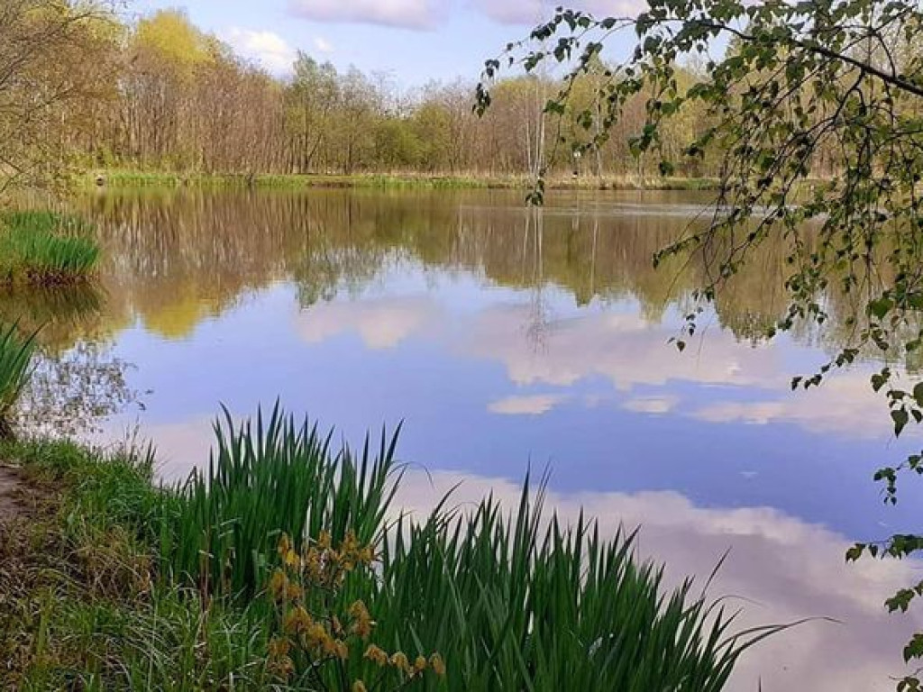 PRZEŁOMowe Kadry - wycieczka do lasu