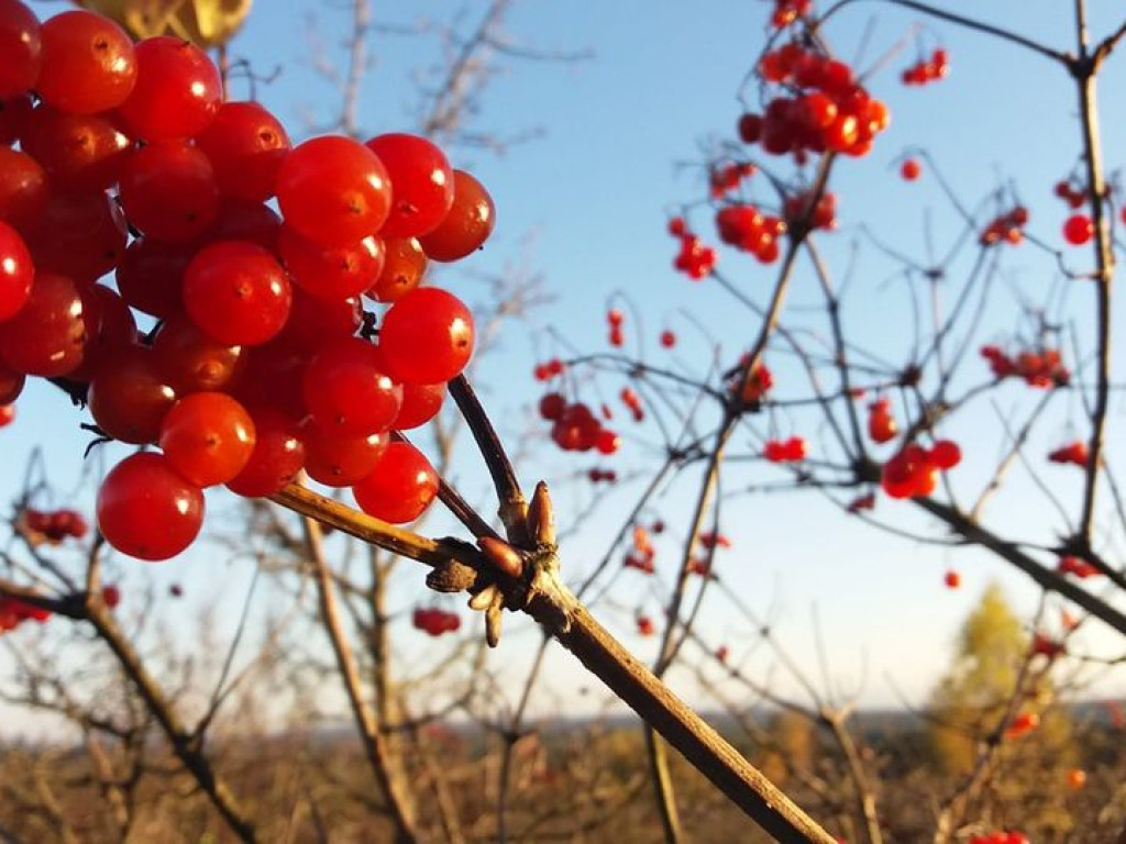 PRZEŁOMowe Kadry. Zdjęcia miesiąca października