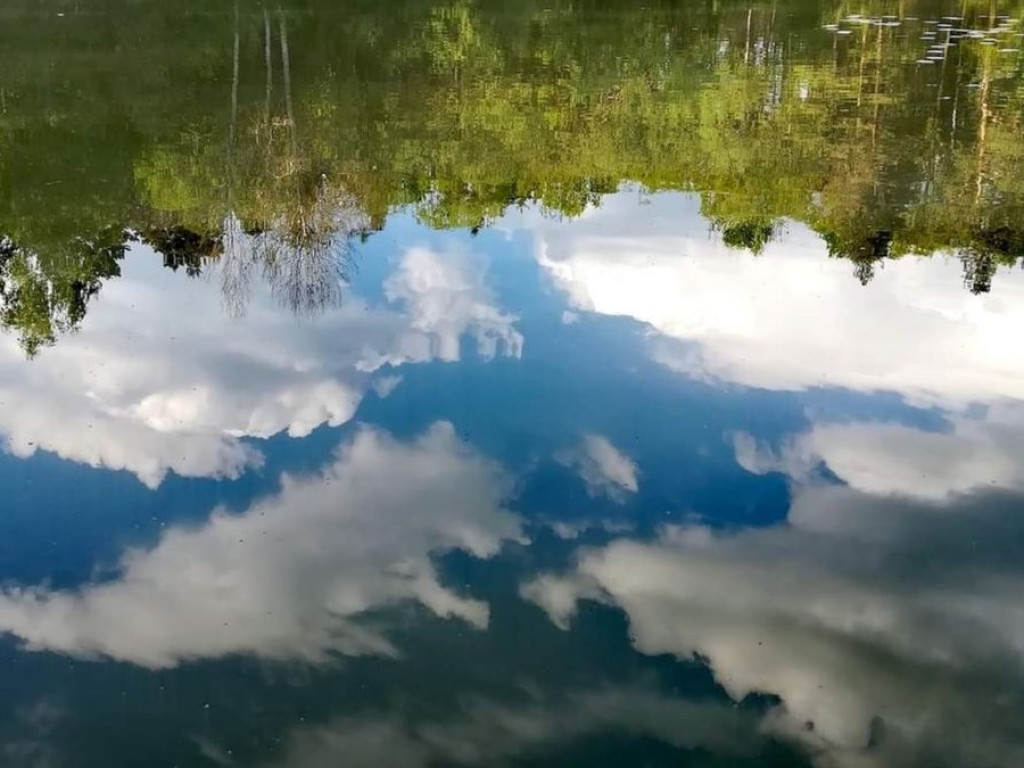 Świat do góry nogami na "PRZEŁOMowych Kadrach"