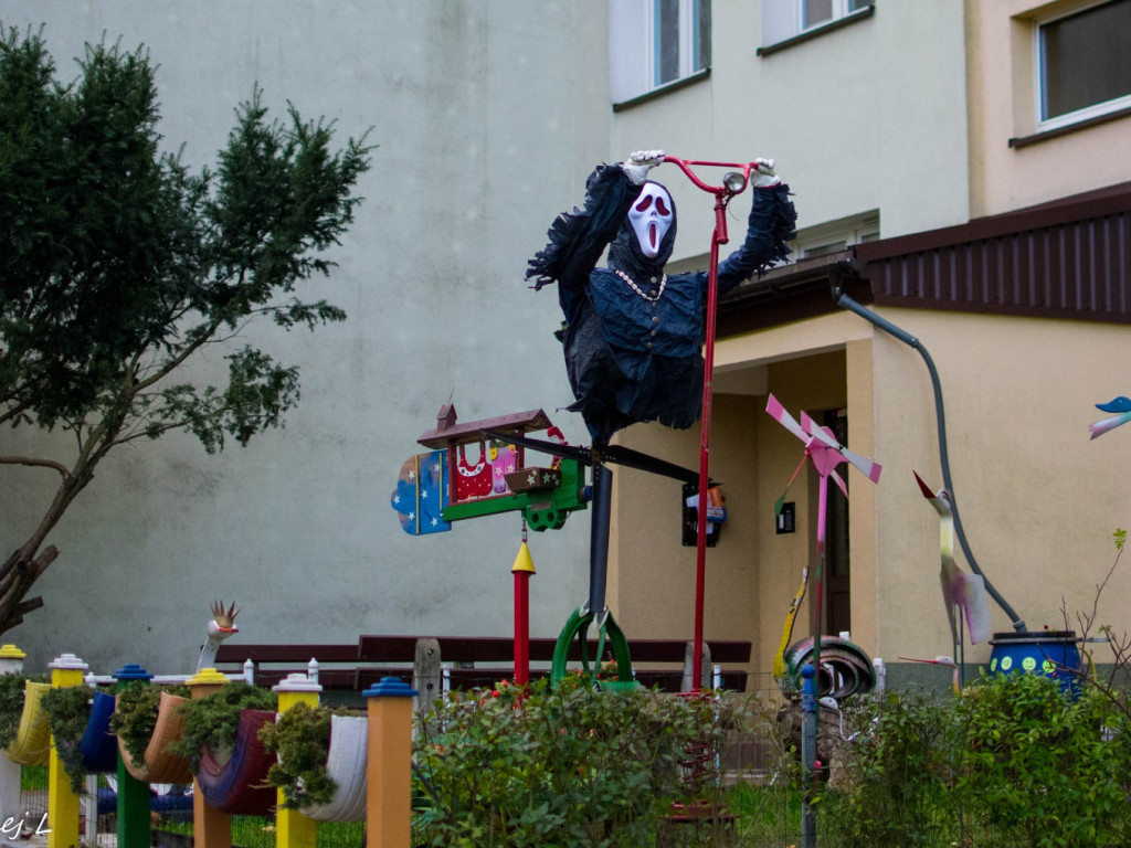 Ogródek przy oknach pana Kazimierza w Chrzanowie