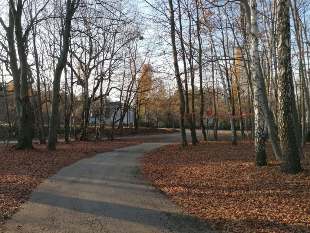 Spacer po Rospontowej