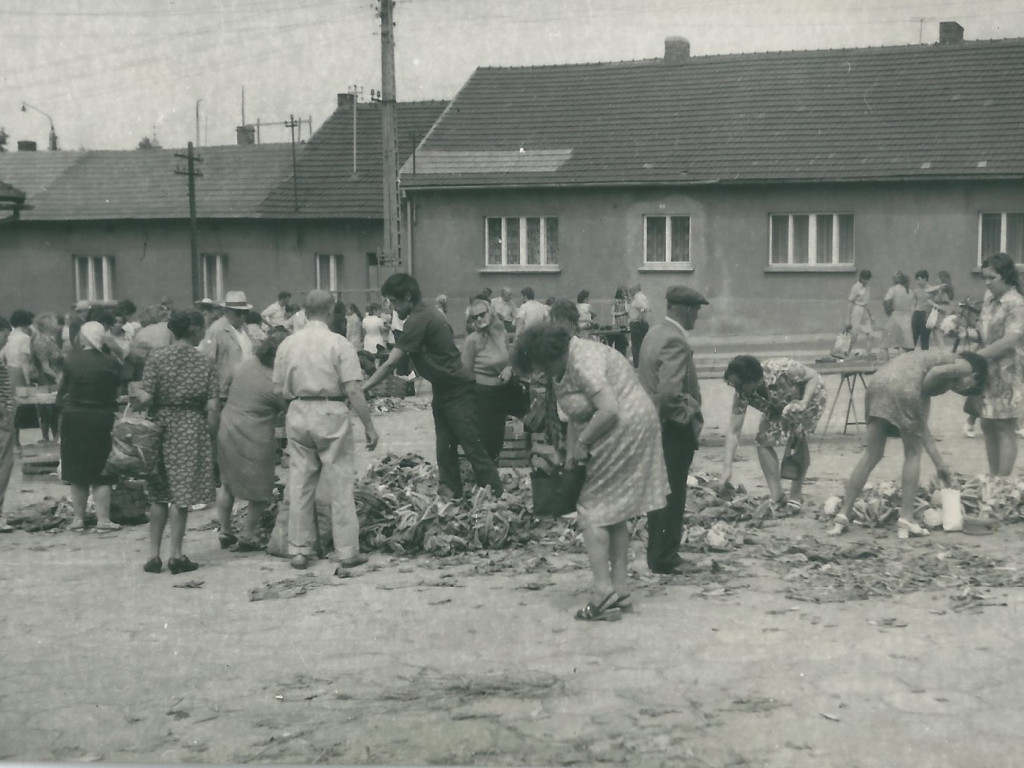 Trzebinia i Chrzanów na czarno-białych fotografiach mieszkańców