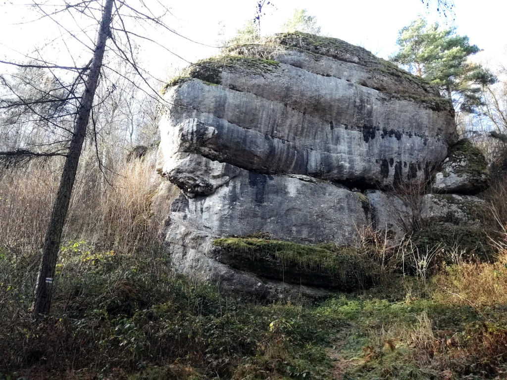 Spacer po Dolinie Brzoskwinki niedaleko Krzeszowic