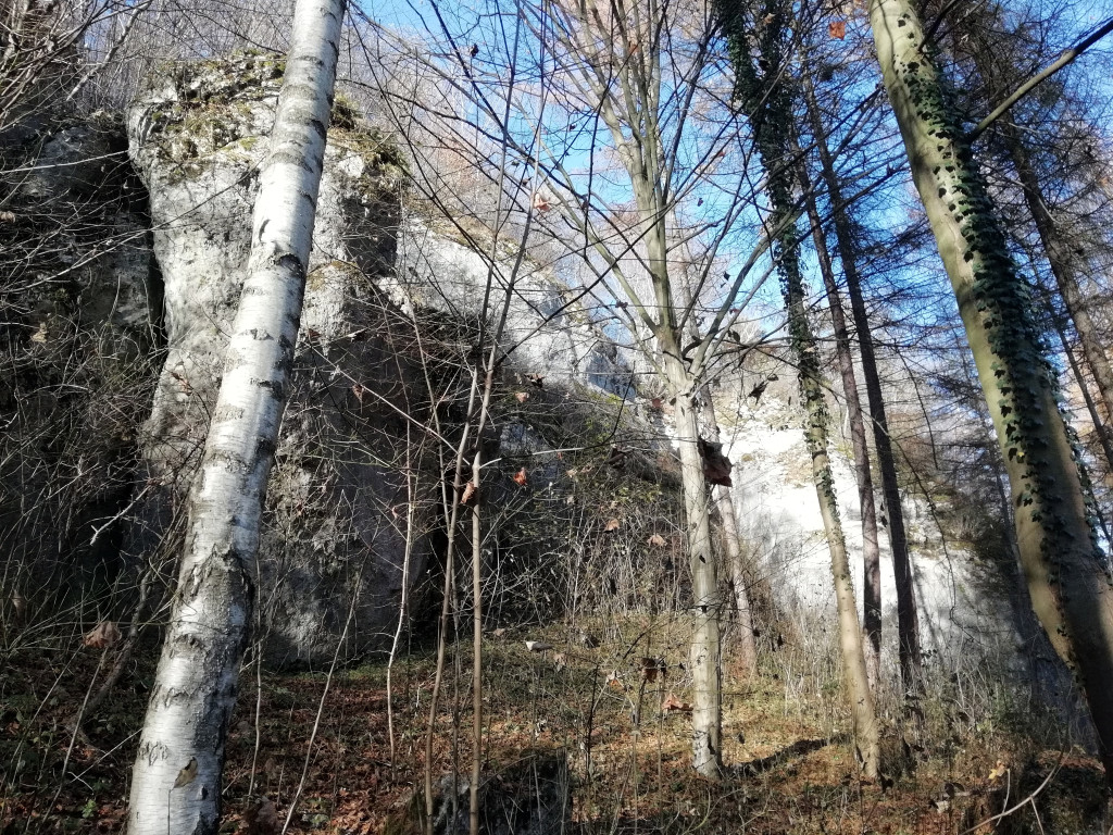 Spacer po Dolinie Brzoskwinki niedaleko Krzeszowic